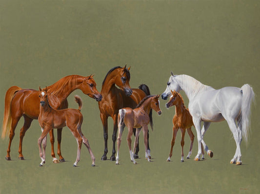 Arabian Mares and Foals