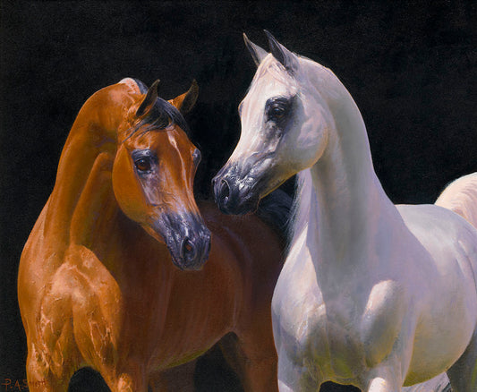 Egyptian Stallions